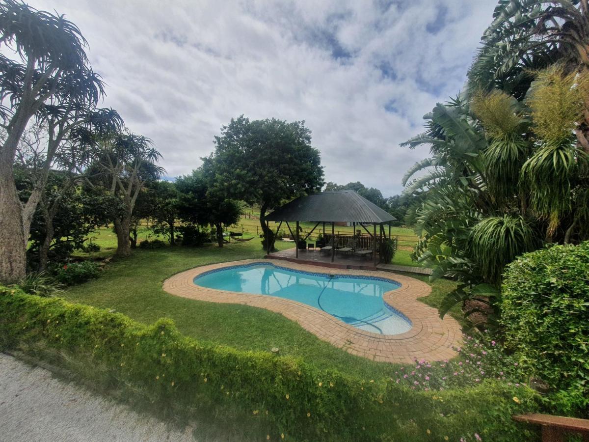 Milkwood Country House Port Elizabeth Zewnętrze zdjęcie